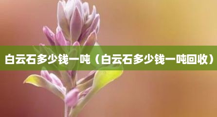 白云石多少钱一吨（白云石多少钱一吨回收）