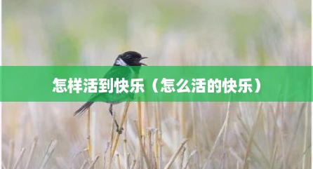 怎样活到快乐（怎么活的快乐）