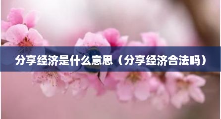 分享经济是什么意思（分享经济合法吗）