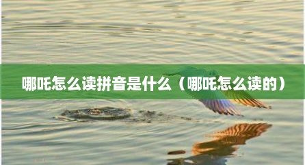 哪吒怎么读拼音是什么（哪吒怎么读的）