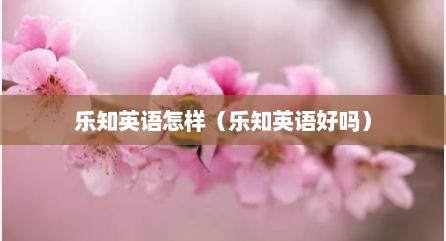 乐知英语怎样（乐知英语好吗）