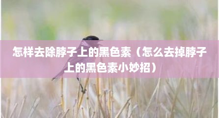 怎样去除脖子上的黑色素（怎么去掉脖子上的黑色素小妙招）