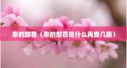 率的部首（率的部首是什么再查几画）