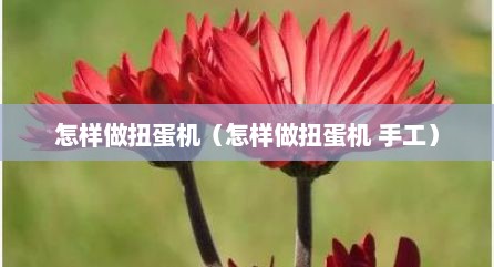 怎样做扭蛋机（怎样做扭蛋机 手工）
