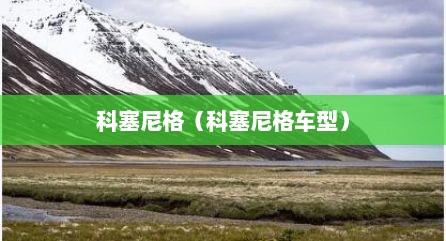 科塞尼格（科塞尼格车型）