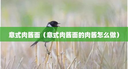 意式肉酱面（意式肉酱面的肉酱怎么做）
