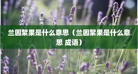 兰因絮果是什么意思（兰因絮果是什么意思 成语）