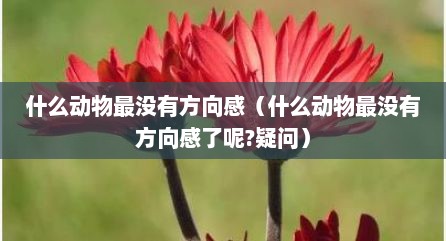 什么动物最没有方敬感（什么动物最没有方敬感予呢?疑问）