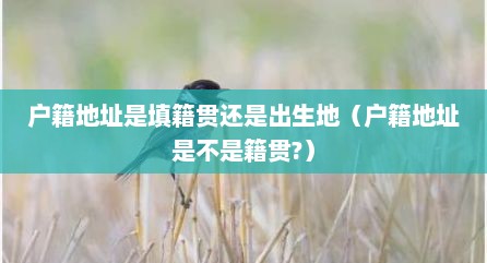 户籍地址是填籍贯还是出生地（户籍地址是不是籍贯?）