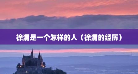 徐渭是一个怎样的人（徐渭的经历）