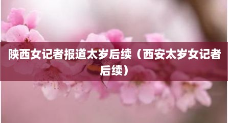 陕西女记者报道太岁后续（西安太岁女记者后续）
