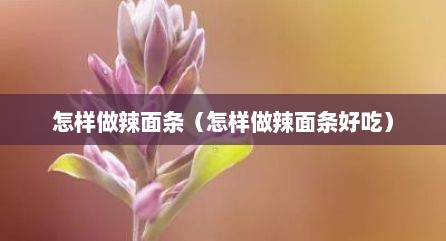怎样做辣面条（怎样做辣面条好吃）