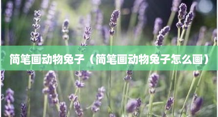 简笔画动物兔子（简笔画动物兔子怎么画）