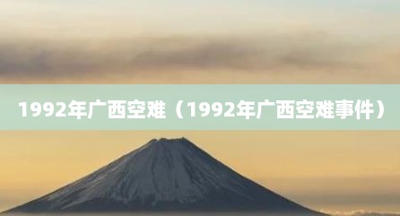 1992年广西空难（1992年广西空难事件）