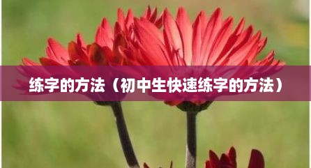 练字的方法（初中生快速练字的方法）