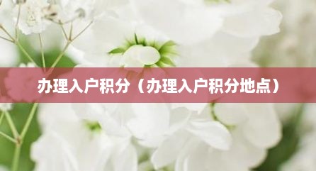 办理入户积分（办理入户积分地点）