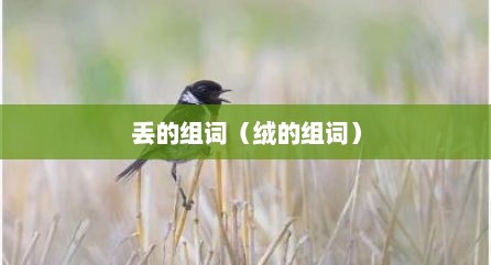 丢的组词（绒的组词）