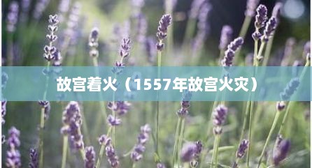 故宫着火（1557年故宫火灾）
