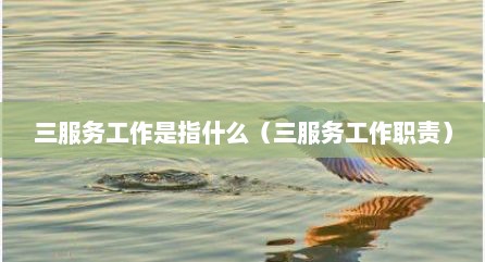 三服务工作是指什么（三服务工作职责）