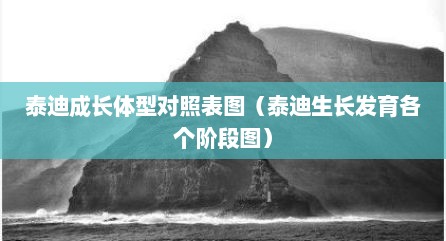 泰迪成长体型对照表图（泰迪生长发育各个阶段图）