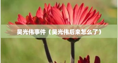吴光伟事件（吴光伟后来怎么了）
