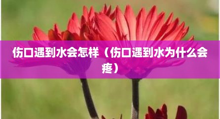伤口遇到水会怎样（伤口遇到水为什么会疼）