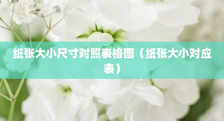 纸张大小尺寸对照表格图（纸张大小对应表）