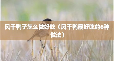 风干鸭子怎么做好吃（风干鸭最好吃的6种做法）