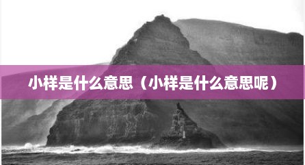 小样是什么意思（小样是什么意思呢）