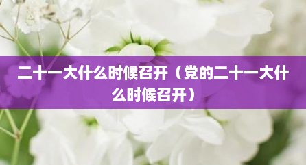 二十一大什么时候召开（党的二十一大什么时候召开）