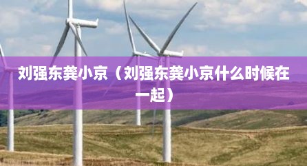 刘强东龚小京（刘强东龚小京什么时候在一起）
