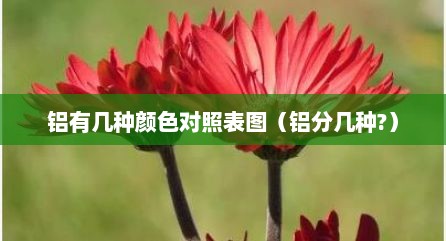 铝有几种颜色对照表图（铝分几种?）