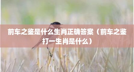 前车之鉴是什么生肖正确答案（前车之鉴打一生肖是什么）