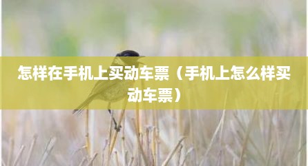 怎样在手机上买动车票（手机上怎么样买动车票）