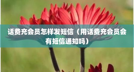 话费充会员怎样发短信（用话费充会员会有短信通知吗）