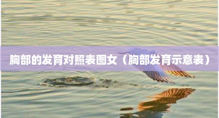 胸部的发育对照表图女（胸部发育示意表）