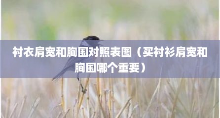 衬衣肩宽和胸围对照表图（买衬衫肩宽和胸围哪个重要）