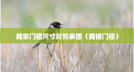 商家门楼尺寸对照表图（商铺门楼）