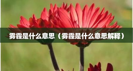 雾霾是什么意思（雾霾是什么意思解释）