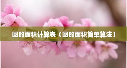 圆的面积计算表（圆的面积简单算法）