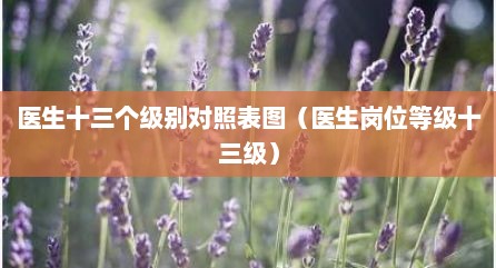 医生十三个级别对照表图（医生岗位等级十三级）