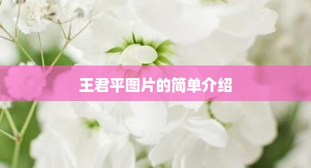 王君平图片的简单介绍