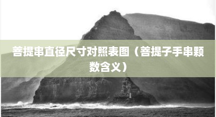 菩提串直径尺寸对照表图（菩提子手串颗数含义）
