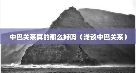 中巴关系真的那么好吗（浅谈中巴关系）