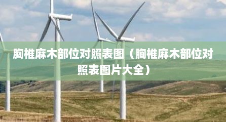 胸椎麻木部位对照表图（胸椎麻木部位对照表图片大全）