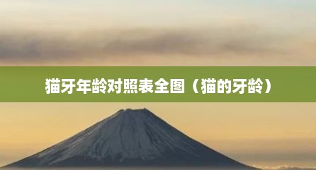 猫牙年龄对照表全图（猫的牙龄）