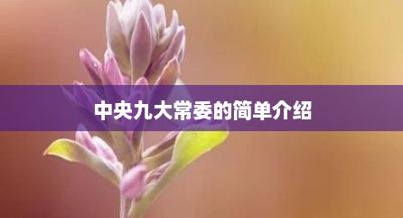 中央九大常委的简单介绍