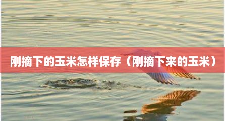刚摘下的玉米怎样保存（刚摘下来的玉米）