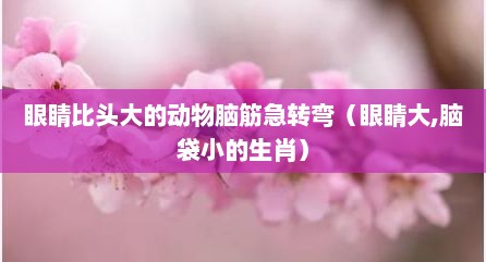 眼睛比头大的动物脑筋急转弯（眼睛大,脑袋小的生肖）