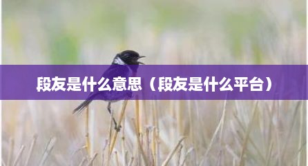 段友是什么意思（段友是什么平台）